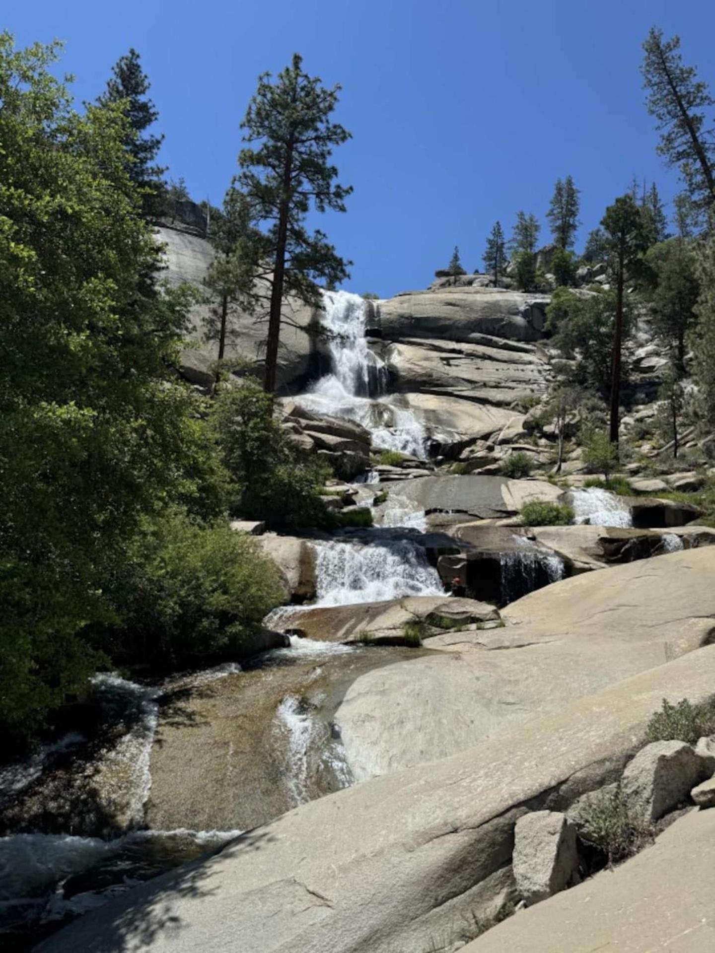 Peppermint Falls Ranch Ponderosa Екстер'єр фото